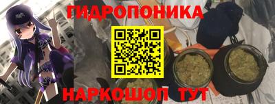 PSILOCYBIN Кизляр