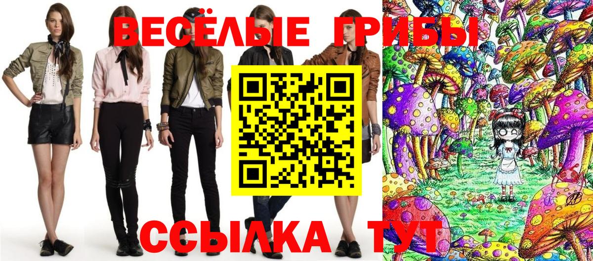 Псилоцибиновые грибы Psilocybe  Псилоцибиновые грибы прущие грибы  Гусь-Хрустальный  Вход с VPN 
